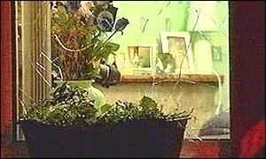Home of woman attacked by petrol bombers south Belfast