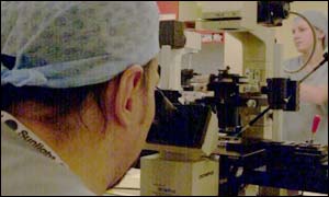 An IVF clinic