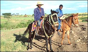 Farmers on horseback in central Ethiopia