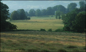 The Dinefwr landscape