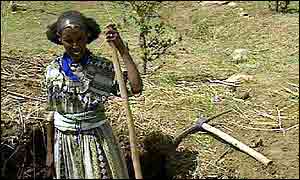Tsige Gebre Abzgi 