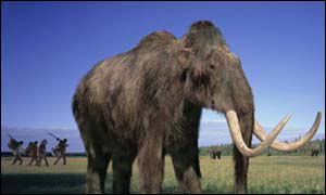 Woolly mammoth