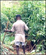Nigerian cemetery