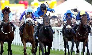 Wunders Dream (centre) leads the field home in the Molecomb stakes  