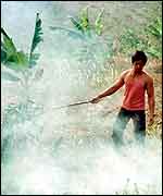 Man and burning forest   AP