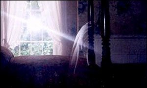 A ghost