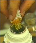 Perfumer at work