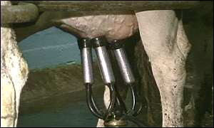 Milking