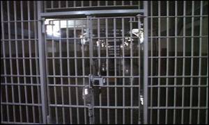 Prison bars