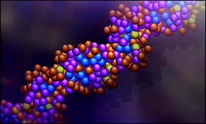 DNA helix
