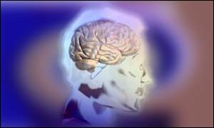 Brain graphic