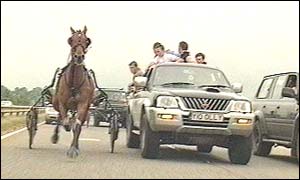 Trotting race