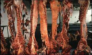Meat 