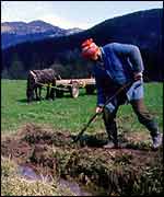 Man works on irrigation system   BBC Elvis