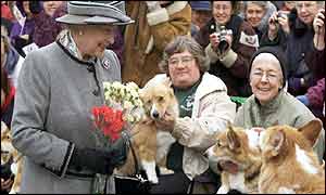 Canadian corgi owners introduce their dogs to the Queen