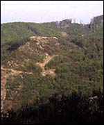 Hillside forest laid bare   Pavol Kanuch