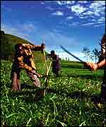 Clearing land for agriculture   Juan Pablo Moreiras/Fauna & Flora International