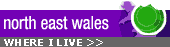 More from north east Wales