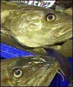 Cod