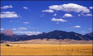 Grain fields