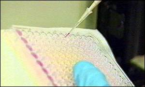 Lab pipette