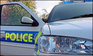 police car