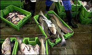 Cod
