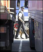 Policeman and dog