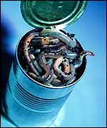Worms in can   1998 EyeWire, Inc