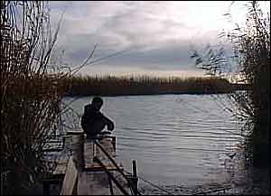 Boy by Caspian reeds   A Kirby