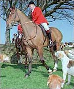 Hunt