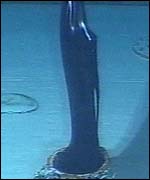 Solidified oil