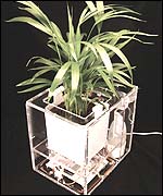 The smart plant pot