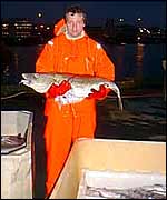 Fisherman holds cod   Alex Kirby
