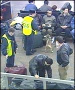 Sniffer dog at work