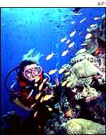 Barrier Reef