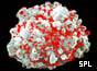 HIV infecting a T-cell