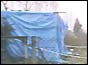 Photo of Police canvas in garden of house in Cricklewood, north west London