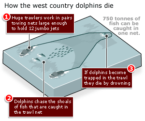graphic of nets