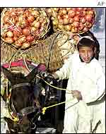 Boy, donkey cart with pomegranates   AP