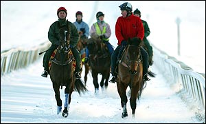 Horses on the  Newmarket gallops