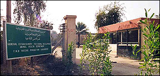 Al-Daura