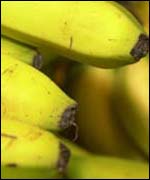 Bunch of bananas