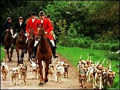 Hunt members