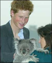 The 19-year-old will work as a jackeroo, rounding up cattle and sheep during his gap year 