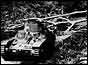 Japanese tanks one behind and one in front of fallen tree