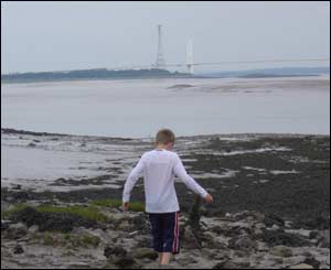 Mike Wilson's son Paul looking for crabs at Black rock, Sudbrook. with the old Severn Bridge in the background