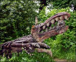 Alan Caswell from Swansea snapped this crocodile in Margam Park
