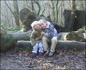 Paul Owen from Caerphilly sent in this photo of his two boys Thomas, six, and Oliver, three,  in the Wenallt forest