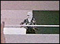 Gunman from Palestinian group Black September in Saudi embassy in Khartoum
